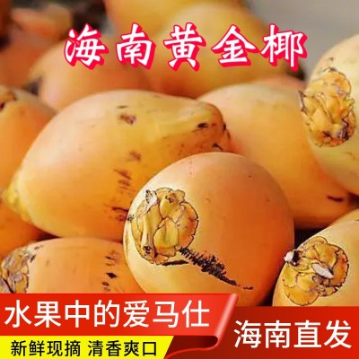 海南万宁黄金椰子现摘现发新鲜水果4/6/9个装整箱一件代发批发图5