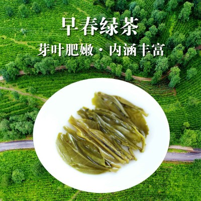 2023年新茶HLT黑龙潭绿茶200克云南源头茶厂大叶种浓香型散装绿茶图3