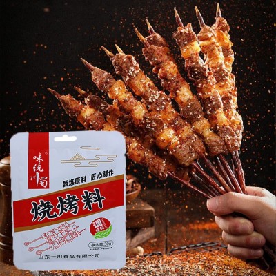 淄博烧烤料 家用烤肉牛羊肉串调料烧烤蘸料炸串调味粉烧烤撒料图2