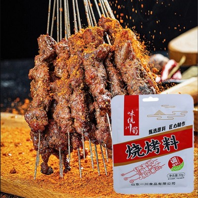 淄博烧烤料 家用烤肉牛羊肉串调料烧烤蘸料炸串调味粉烧烤撒料图3