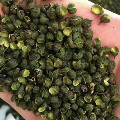 四川汉源花椒特麻特香青麻椒香料调味料可打花椒粉食用青花椒500g图4