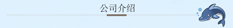 公司介绍