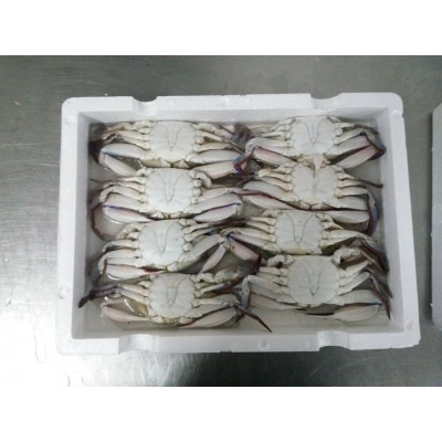 东山县福来食品 福来水产 源头好货 产地直销 冷冻水产 三点蟹图4