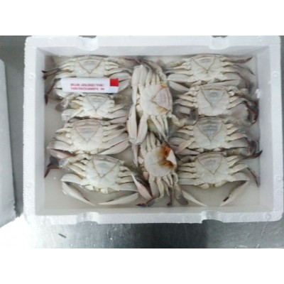 东山县福来食品 福来水产 源头好货 产地直销 冷冻水产 三点蟹图3
