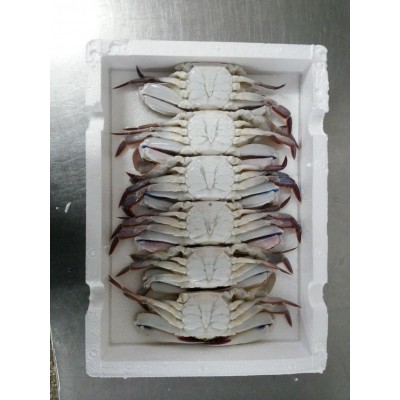 东山县福来食品 福来水产 源头好货 产地直销 冷冻水产 三点蟹图1