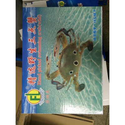 东山县福来食品 福来水产 源头好货 产地直销 冷冻水产 三点蟹图2