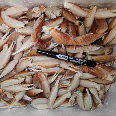扁蟹蟹钳 冰冻梭子蟹脚蟹钳 纯海捕 可家用商用批发 中号蟹钳图4