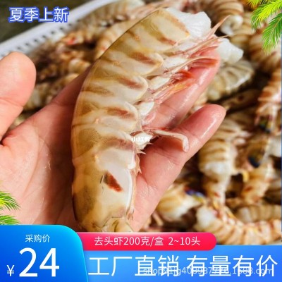 去头斑节虾 虾身虾肉 九节虾基围虾海捕大虾 冰鲜竹节虾厂家直销图5