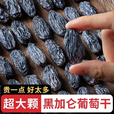 新疆黑加仑葡萄干吐鲁番大个颗粒特产无籽免洗即食零食图3
