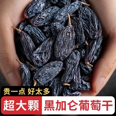 新疆黑加仑葡萄干吐鲁番大个颗粒特产无籽免洗即食零食图4