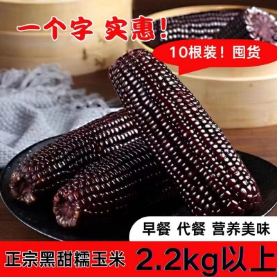 黑糯玉米真空即食零食早餐速食粗粮代餐软糯整箱图4