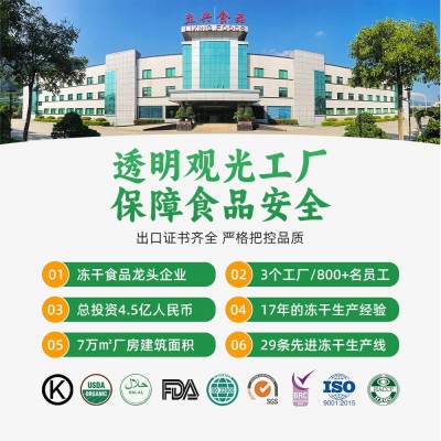 立兴冻干草莓粒 休闲食品散装草莓干 烘焙蛋糕装饰用商用批发图2