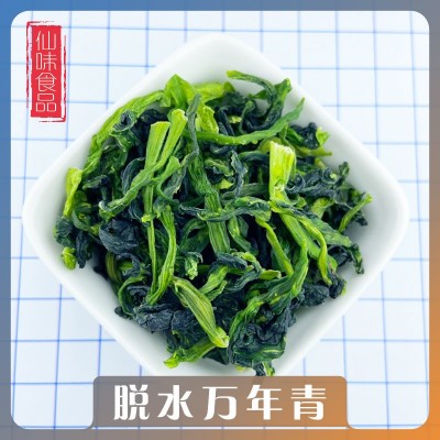 供应脱水菜芯 脱水蔬菜 脱水万年青 热风干燥青菜干图5