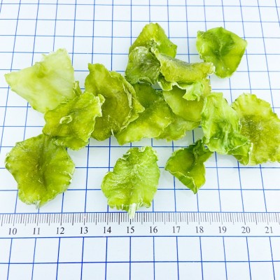 供应脱水蔬菜 脱水莴笋 脱水莴苣 莴笋片莴苣干图2