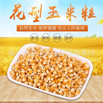 花型玉米粒 爆米花专用玉米粒 量大价优 蝶花型爆米花玉米图5