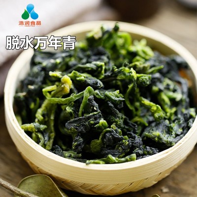 脱水万年青脱水菜芯干菜嫩菜芯调凉菜美味佳肴爽口厂家供一件代发图4