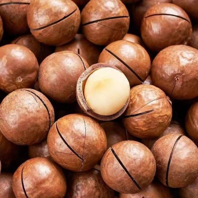夏威夷果奶油味奶香味500g 东坚果澳洲休闲散装零食夏威夷果图3