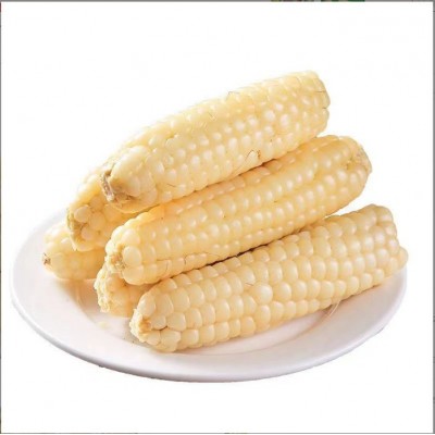 云南西双版纳拇指玉米即食早餐代餐新鲜傣家甜香糯迷你手指小玉米图4