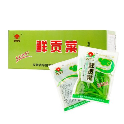 工厂直营量大从优鲜贡菜清水贡菜280g*30袋/箱贡菜苔干苔菜图5