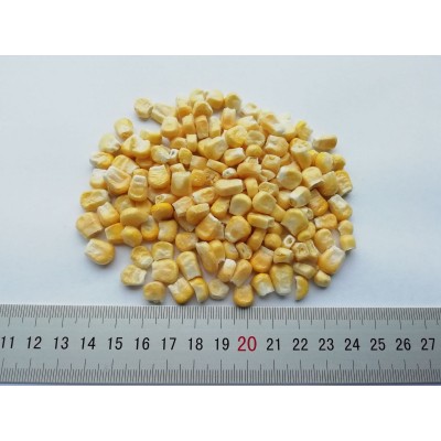 FD甜玉米粒