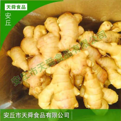 山东厂家货源大黄姜生姜老姜母批发现卖现挖新鲜保鲜姜月子姜图4