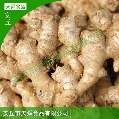 山东厂家货源大黄姜生姜老姜母批发现卖现挖新鲜保鲜姜月子姜图2
