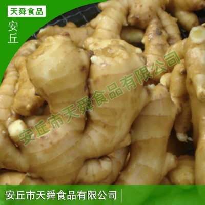 山东厂家货源大黄姜生姜老姜母批发现卖现挖新鲜保鲜姜月子姜图3