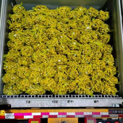 山东小黄姜老姜母新鲜生姜 香辣调味新鲜蔬菜嫩姜风干姜批发图3
