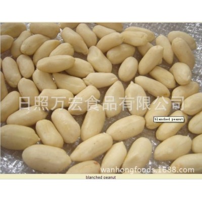 出口山东花生仁,脱皮花生,乳白花生图4