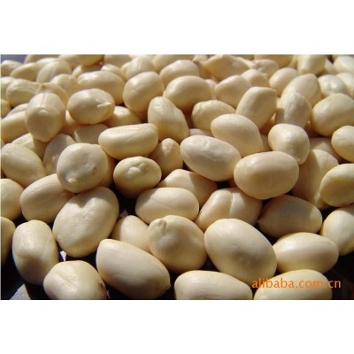 出口山东花生仁,脱皮花生,乳白花生图3