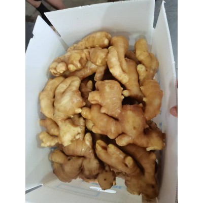出口鲜姜，出口保鲜姜，生姜图3