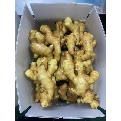 出口鲜姜，出口保鲜姜，生姜图2