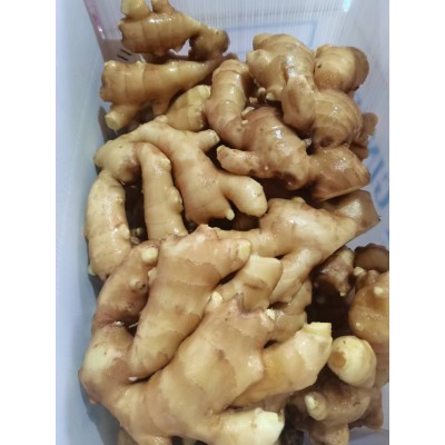 出口鲜姜，出口保鲜姜，生姜图4