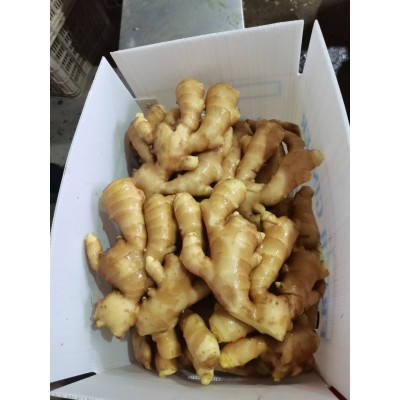 出口鲜姜，出口保鲜姜，生姜图5
