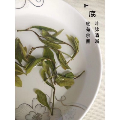 2021年小菜茶福鼎 小白茶土茶 明前牡丹贡眉香甜顺口