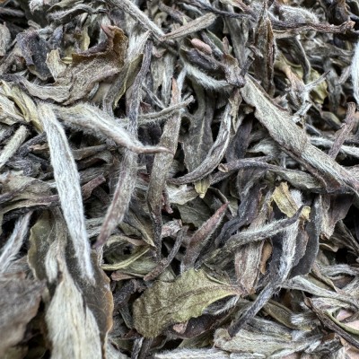 2019年一级白牡丹散茶款高山老白茶福建白茶散茶或整箱批发401图4