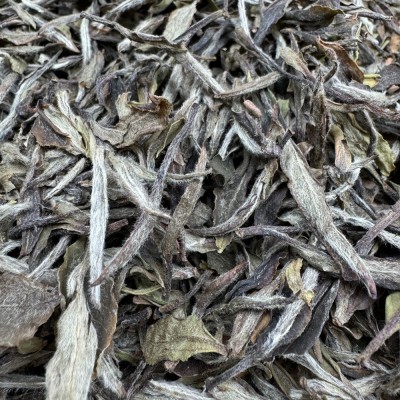 2019年一级白牡丹散茶款高山老白茶福建白茶散茶或整箱批发401图2