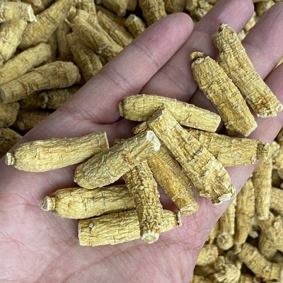 东北长白山西洋参粒花旗参条批发整枝西洋参9条/包邮原丛参条打粉图2