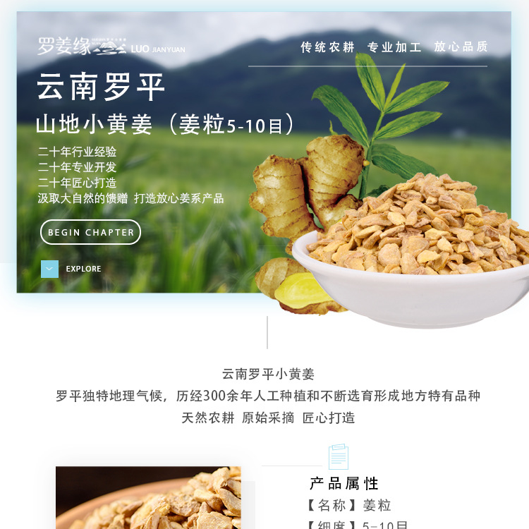 1688干姜粒5-10目_01.jpg