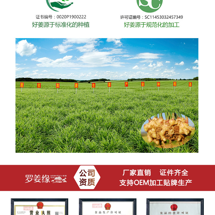 1688干姜粒5-10目_14.jpg