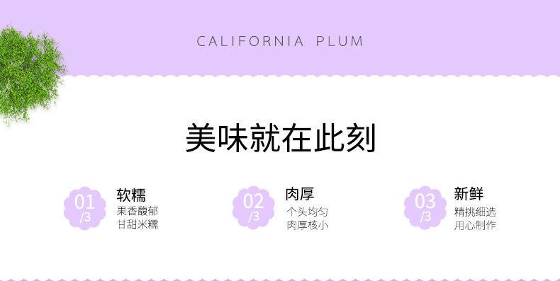 梦享果园加州大西梅超值装_02.jpg