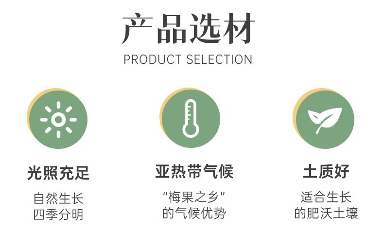 华美_02