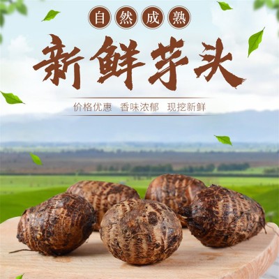 山东奶油小芋头新鲜牛奶小芋头香芋头现挖 芋头图1