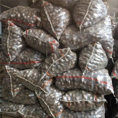 山东奶油小芋头新鲜牛奶小芋头香芋头现挖 芋头图4