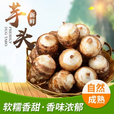 新鲜现挖农家自种 新鲜蔬菜当季毛芋头 厂家直发图3