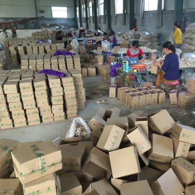 供应保鲜出口大蒜 4.5-6.0cm金乡大蒜 普白大蒜 起订2kg图4