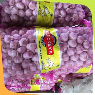 金乡出口大蒜 普白大蒜出口 红皮大蒜30kg 起批 包邮15376568887图4