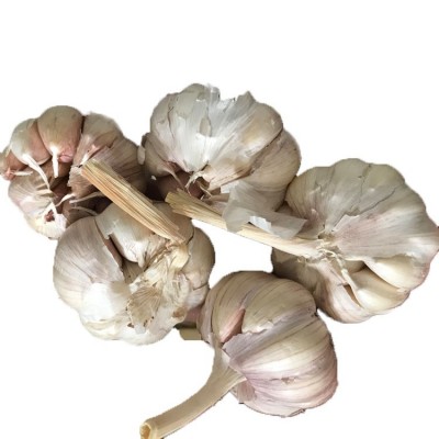 供应金乡大蒜 大蒜出口残次品2kg 28元 ，不影响使用，美观度欠，图5