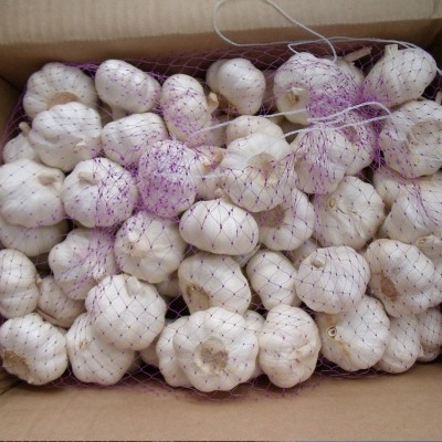 供应金乡大蒜 大蒜出口残次品2kg 28元 ，不影响使用，美观度欠，图3