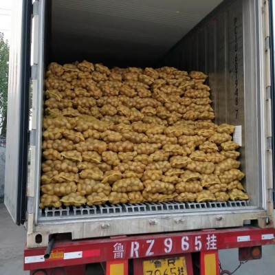 粉糯农家新鲜蔬菜土豆 山东莱芜特产黄心土豆 黄皮大土豆马铃薯图2